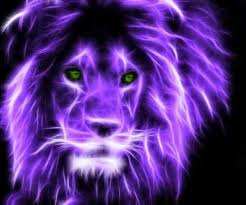 Lion Fractile Lion Art Tiger Pictures Cat Art