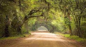 Maybe you would like to learn more about one of these? Spanish Moss Blog Luxury Simplified