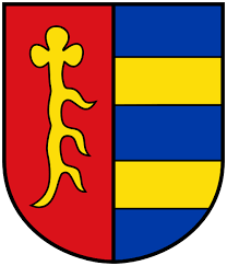 Logo and kit tsg 1899 hoffenheim. File Coa Hoffenheim Svg Wikipedia