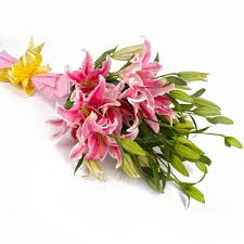 May insert name's soul be at peace with our heavenly father. Send Sympathy Funeral Flowers India Buy Lilies More Giftsnflowers In