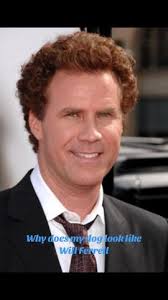 Dog Looks Like Will Ferrill