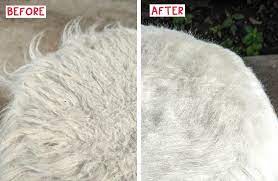 Fur Ottoman Cleaning: 1 Easy Hack | Hawk Hill