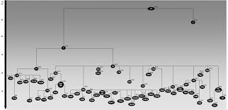 Guillermo pereira hinke (santiago de chile, región metropolitana; Haplogroup T Mtdna Wikiwand