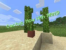 They used to be separate but i then decided to connect the two with this unique space. Cactus They Need Arms You Know Minecraft