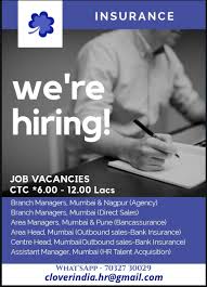 Job Placements Job Placement Service Jobs Area Manager