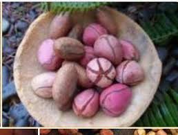 Be A Strong Man Increase Your Manhood With Kolanut Obi In Yoruba Within 3 Days Health Fruits And Veggies Health And Wellness