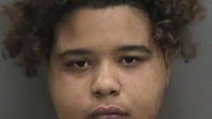 Woman accused of murdering neighbor with machete pleads guilty after judge  refuses to put case