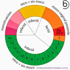 Resultado de imagen para fertilidad
