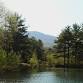 Pond Management: A General Overview