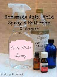 Mold Is Not My Friend It S Not Welcome In My Home And Never Will Be I Have Lived In 2 Rentals That Had Serious Mold Mold Spray Cleaning Hacks Mold Remover