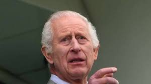 Kung Charles ”hotar kapa alla band” med sin bror