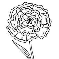 The Green Carnation Coloring Page Coloring Sun Green Carnation Coloring Pages Flower Coloring Pages