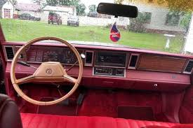 Image result for Cornflower 1994 Reliant
