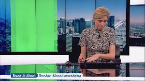 Dit is een lijst van nieuwslezers. Ruben Van Gucht Moet Halfweg Het Journaal Invallen Voor An Het Nieuwsblad Mobile