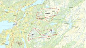 Norge, 5004, 7713, kongens gate 39. Smaviltjakt Pa Statsallmenningene I Steinkjer Steinkjer Fjellstyre
