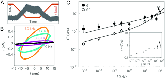 Ok ni kali ke berapa ratus aku mai balik sini. Measuring Viscoelasticity Of Soft Biological Samples Using Atomic Force Microscopy Soft Matter Rsc Publishing