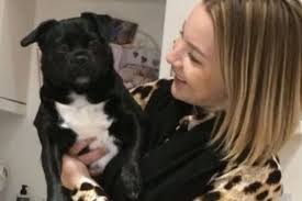 — apprentissage du rôle de chienne amoureuse. Une Femme Enceinte Se Bat Contre Un Aigle Royal Pour Proteger Son Chien Ulyces