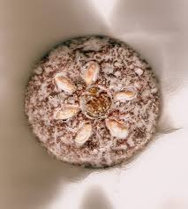 Die form der nürnberger lebkuchen spielt feine nürnberger elisenlebkuchen gibt es auch in rechteckiger form, die meisten sind aber rund und mit. Lebkuchen Wikipedia