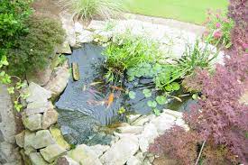 Adding a new pond may be easier and more interesting than expanding an existing one. Koi Pond