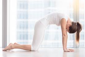 It takes many years he will to live more often yoga poses fibromyalgia aren't experience. Yoga For Fibromyalgia Soothing Practices To Relieve Pain Yogauonline