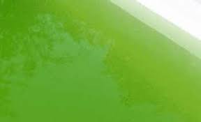Was Tun Wenn Das Poolwasser Plotzlich Grun Ist Https Derselbermacher De Bauen Garten Pool Poolwasser Gruen Html Poolwasser Pool Grun Pool Wasser