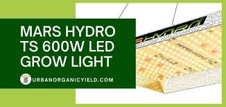 Check spelling or type a new query. Mars Hydro 600w Led Grow Light Review Urbanorganicyield Com
