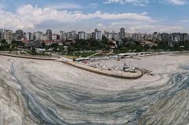 A thick, gloopy, jellylike blanket of sea snot is choking the sea of marmara in turkey, posing a growing threat to marine life and the fishing industry. Jpxqwoclnkimbm