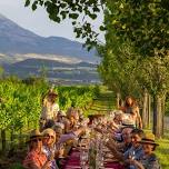 Barrel Tasting, Gourmet Food & Wine Pairing