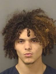 It is Felony Friday folks! And this week's winner is Dyllon James  Blanchard, who apparently thought he could outrun Haralson County deputies,  the Florida fugitive task force, and common sense — all