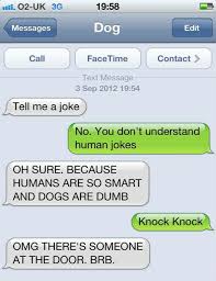 It can also be the best way to break the ice. 21 Best Texts From The Dog Life With Dogs