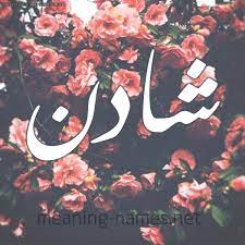 اسم شادن بالانجليزي شادن اسمك بالانجليزي ازداد جمالا اروع روعه