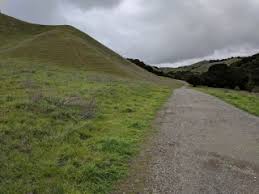 3238 gloria is a state of mind, one that releases you from the stress and traffic of downtown, instead placing you among the bucolic scenery of reliez valley. Bay Area Hiker Bear Creek Staging Area Briones Regional Park