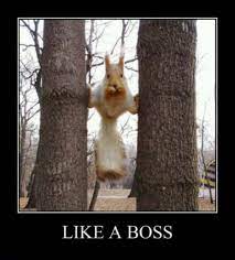 Pin On Lovable Animals