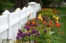 Regular light bulbs can be used as grow lights, but some are better for horticultural use than others and incandescent bulbs use the most power, last the shortest amount of time and provide the least. Designing With Spring Bulbs Better Homes Gardens
