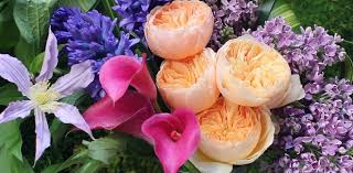 This is a very pretty building full of amazing fllowers and plants. San Francisco Florist Home Sf Florist