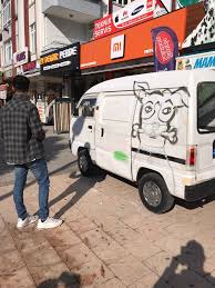 evcilal pet shop kopek evcil hayvanlar kedi