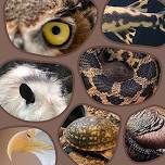 Wonders of Wildlife