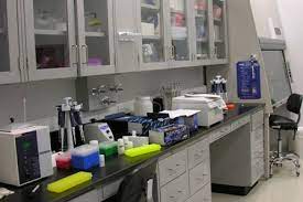 When purchasing plants, one should select healthy, pest free trees. Molecular Plant Pathogen Detection Lab Mppd Lab Public Clemson University South Carolina