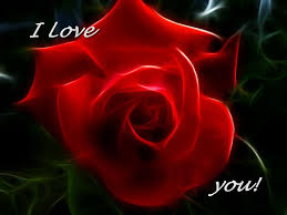 Http Images Fineartamerica Com Images Medium Large I Love You Red Rose Cindy Wright Jpg Beautiful Red Roses Images Red Rose Love Rose Images