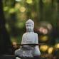 Buddhist Sangha Evening event in Cardiff