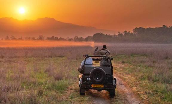 Corbett Tour Packages, Jim Corbett Tour Packages, Corbett Packages