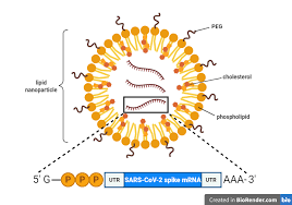 We did not find results for: Rna In A Nutshell