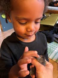 Bethany Carmichael (@bethanybluemoon) · Instagram 照片和视频