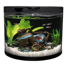 Top fin bettaflo soothe 3.5 gallon betta tank review. Top Fin Bettaflo Betta Aquarium Fish Starter Kits Petsmart