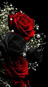 Pin By Leyla Aliyeva On Wallpapers Blue Roses Wallpaper Rose Wallpaper Red And Black Wallpaper