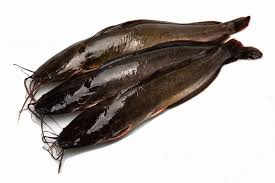Tubuh ikan lele agak pipih dan cukup. Gampang Banget Ternyata Cuma Pakai Bahan Bahan Yang Ada Di Dapur Ini Lendir Ikan Lele Langsung Bersih Harus Dicoba