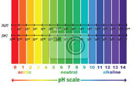 Ph Wert Skala Fur Saure Und Alkalische Losungen Info Saure Basen Gleichgewicht Fototapete Fototapeten Weiss Wasser Vektor Myloview De