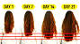Hair Regrowth Hair Growth Foods