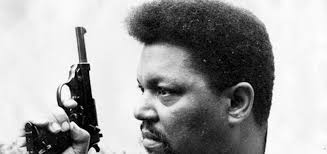 ESSAY: Can Negroes Afford To Be Pacifists? Robert F. Williams, 1959