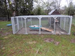 An extra nest box is a great idea if you want to fit the maximum number of chickens in your bungalow chicken coop! Duck House And Run House 4x8 Ft Barn Wood 3 Windows Covered In Hardware Cloth And Hinged Shutters With Latch Doors Duck House Kiddie Pool Backyard Projects